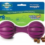 PetSafe Busy Buddy Waggle Dog Toy