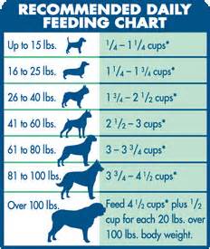 Dog-Feeding-Chart | Dog.DogLuxuryBeds.com