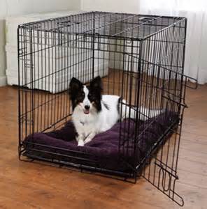 Dog-In-Crate