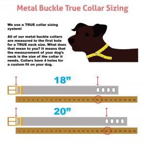 Metal Buckel True Collar Sizing