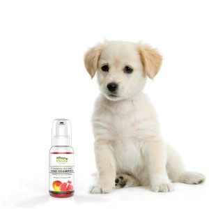 Paw Choice Dry Dog Shampoo With Puppy