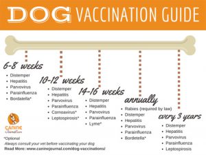 Dog Vaccination Guite