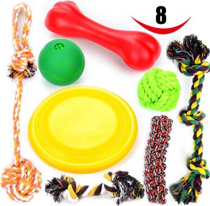 Large Dog Chew Toy 8 Value Pack