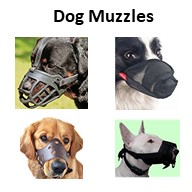 Quick Shop Dog Muzzles