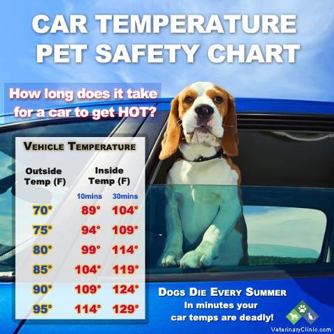 Car Temperature Pet Safety Chart