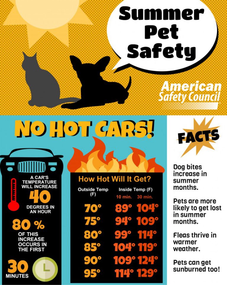 No Hot Cars Dog Temperature Chart